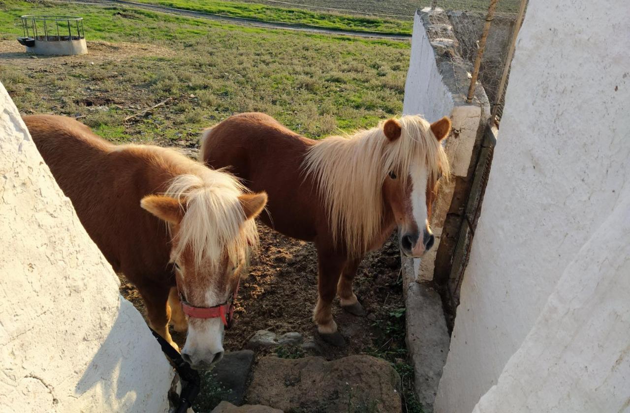 Casa Rural Bini Aumaia Es Mercadal Eksteriør bilde