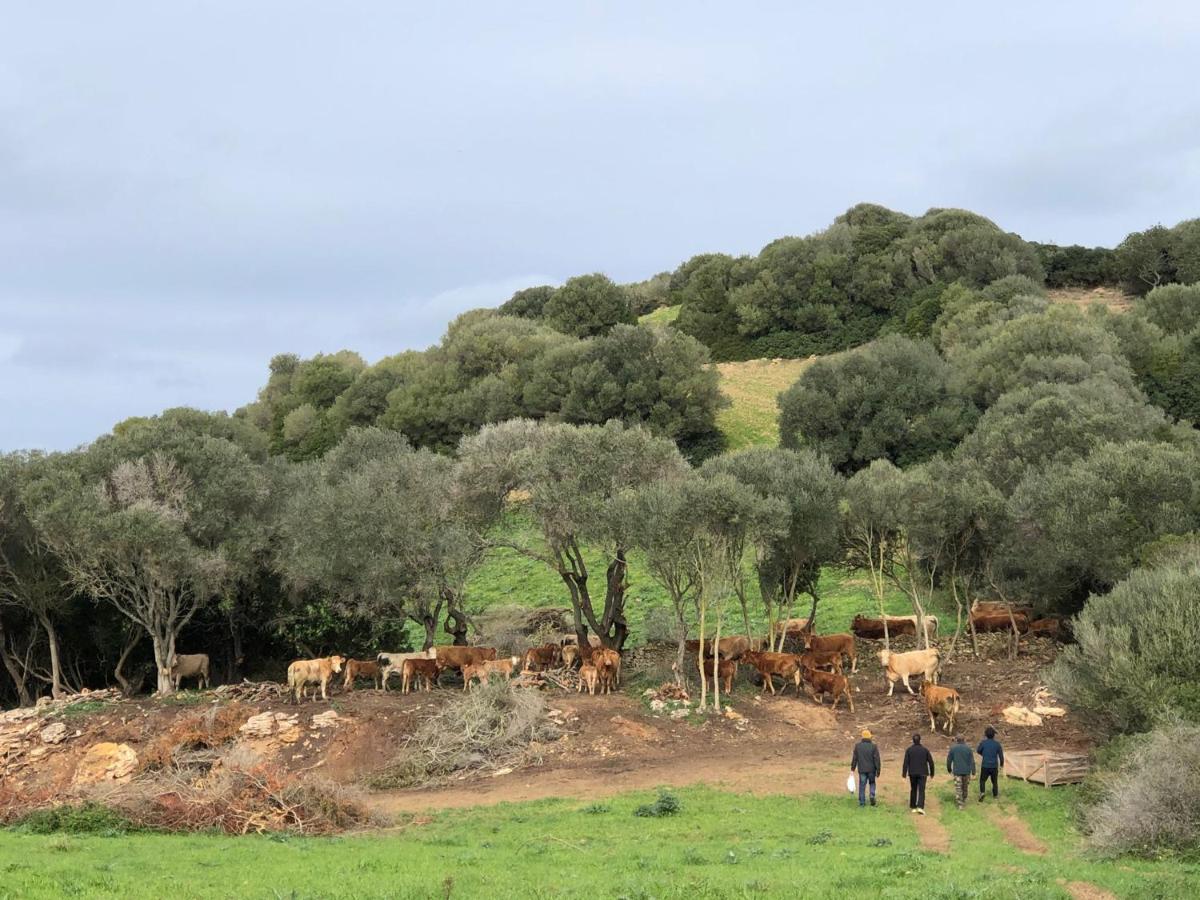 Casa Rural Bini Aumaia Es Mercadal Eksteriør bilde