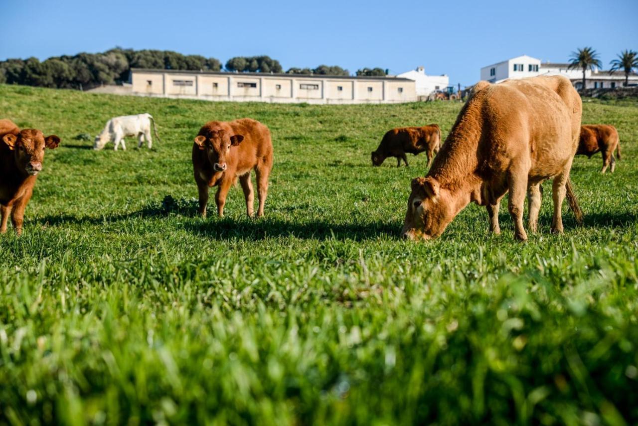 Casa Rural Bini Aumaia Es Mercadal Eksteriør bilde