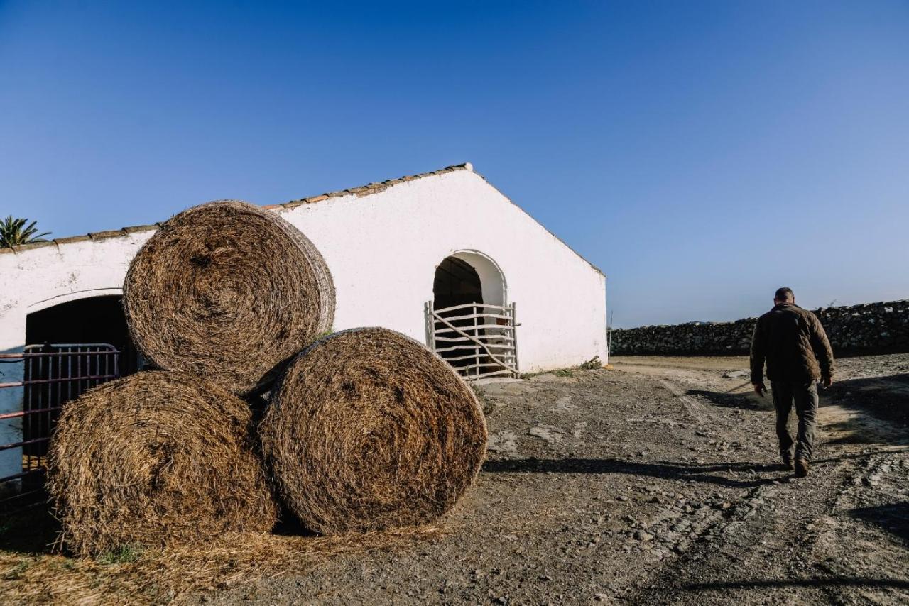 Casa Rural Bini Aumaia Es Mercadal Eksteriør bilde