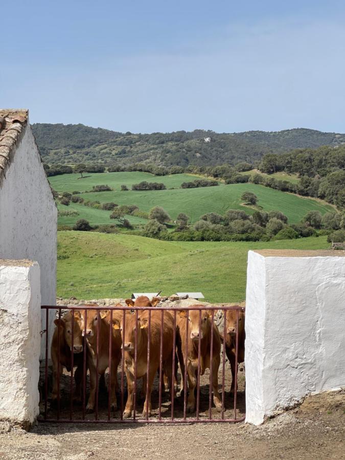 Casa Rural Bini Aumaia Es Mercadal Eksteriør bilde